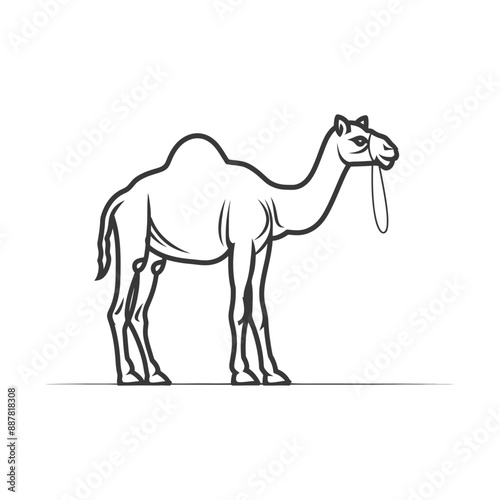 Dromedary Camel Line Art: Elegant Profile with Tongue Out
