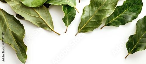 Photo of bay leaves on a wh...