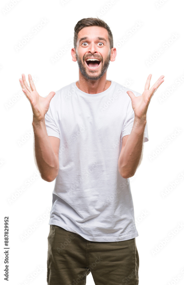 Young handsome man over isolated background celebrating crazy and amazed for success with arms raised and open eyes screaming excited. Winner concept Young handsome man over isolated background celebrating crazy and amazed for success with arms raised and open eyes screaming excited. Winner concept