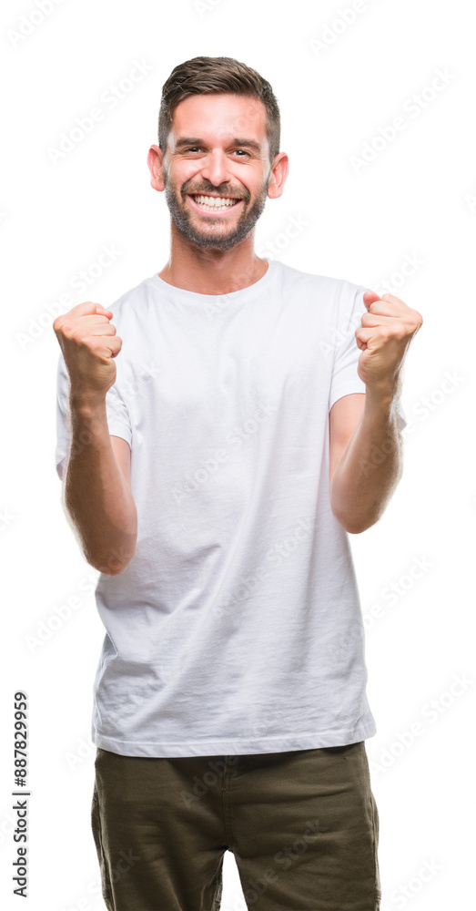 Fototapeta premium Young handsome man over isolated background very happy and excited doing winner gesture with arms raised, smiling and screaming for success. Celebration concept.