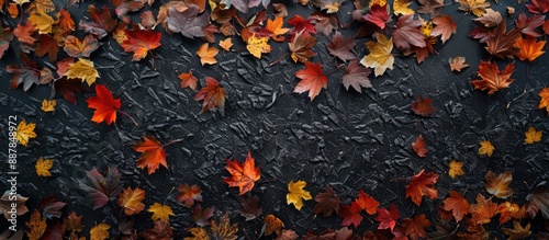 Autumn leaves depicted on a...