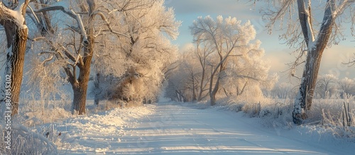 A snowy landscape with tree...