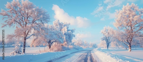 A snowy landscape with tree...