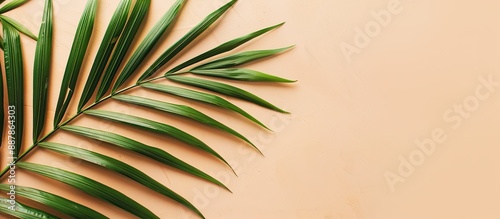 Flat lay with a tropical vi...
