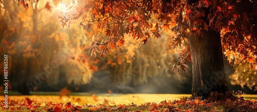 Autumn landscape photograph...