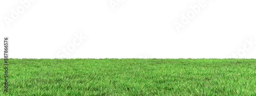 Canvastavla Green grass field isolated on white