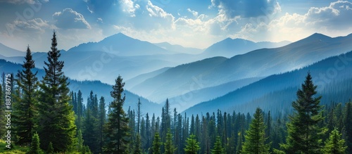 Scenic view of forest and m...
