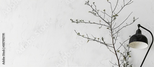 A white wall with a black l...