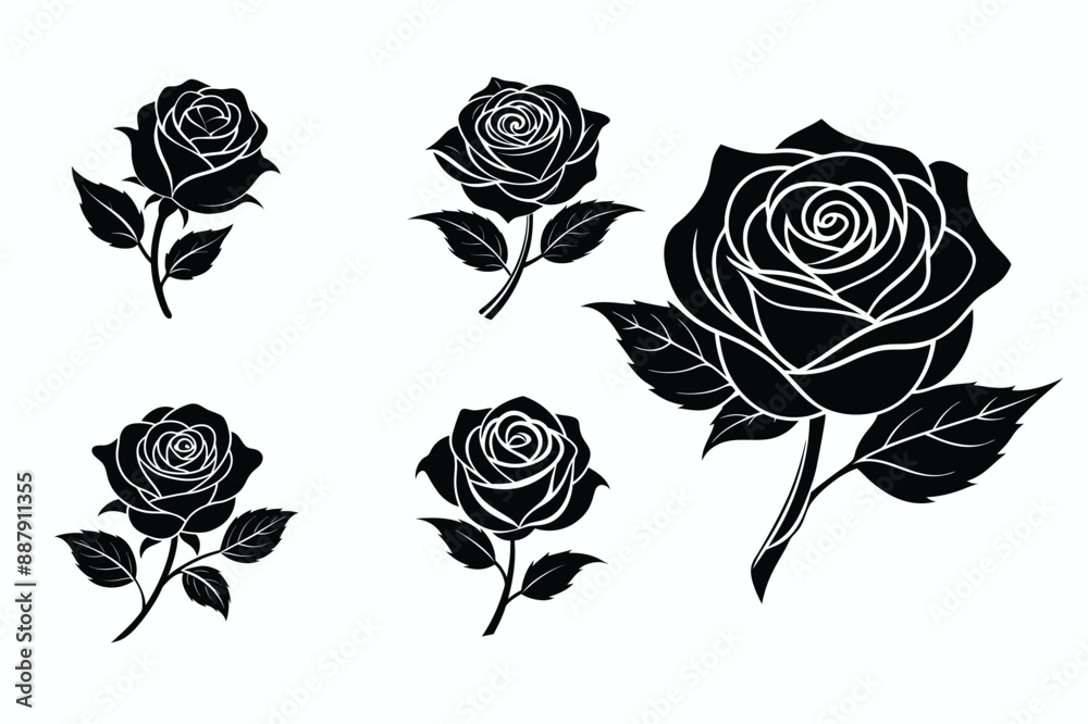 black and white roses bundle black and white roses bundle