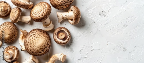 Shiitake mushrooms on white background with copy space image for isolated display