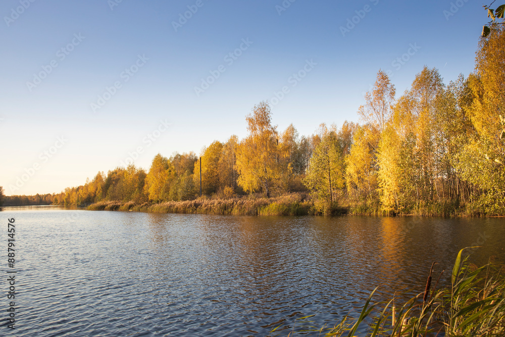 Obraz premium A calm lake with trees in the background