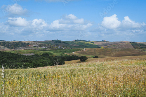 tuscany landscape of hilly fields