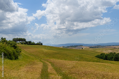 tuscany landscape of hilly fields and car path