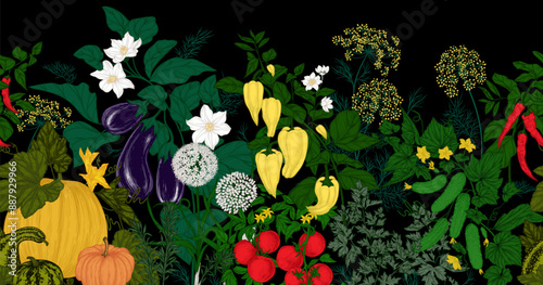 Seamless horizontal pattern vegetable garden. Vegetables and greens. Tomatoes, cucumbers, eggplant, garlic, pumpkin, dill, rosemary, parsley, pepper, chili pepper
