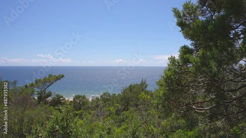 Scenic view of the ocean from a forested cliff, blue skies, and lush greenery, perfect for nature and travel themes