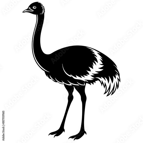 Ostrich icon vector line art illustration
