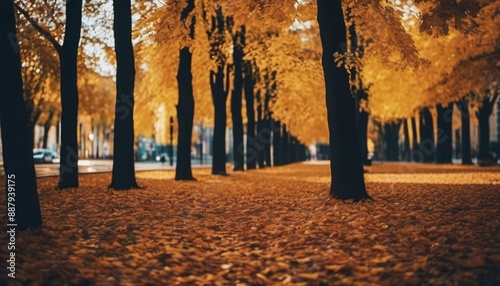 autumn in the park