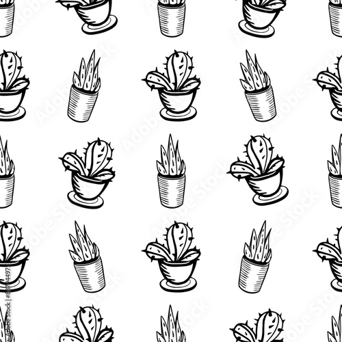 Seamless linear pattern of potted cacti