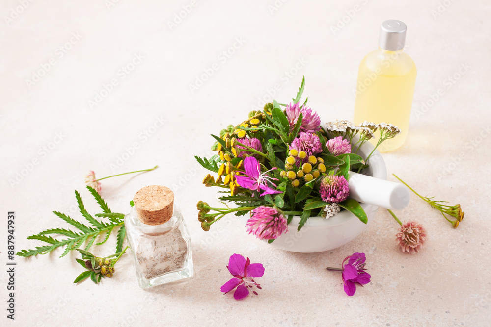 medical flowers herbs in mortar essential oils in bottles. alternative medicine. clover milfoil tansy rosebay medical flowers herbs in mortar essential oils in bottles. alternative medicine. clover milfoil tansy rosebay