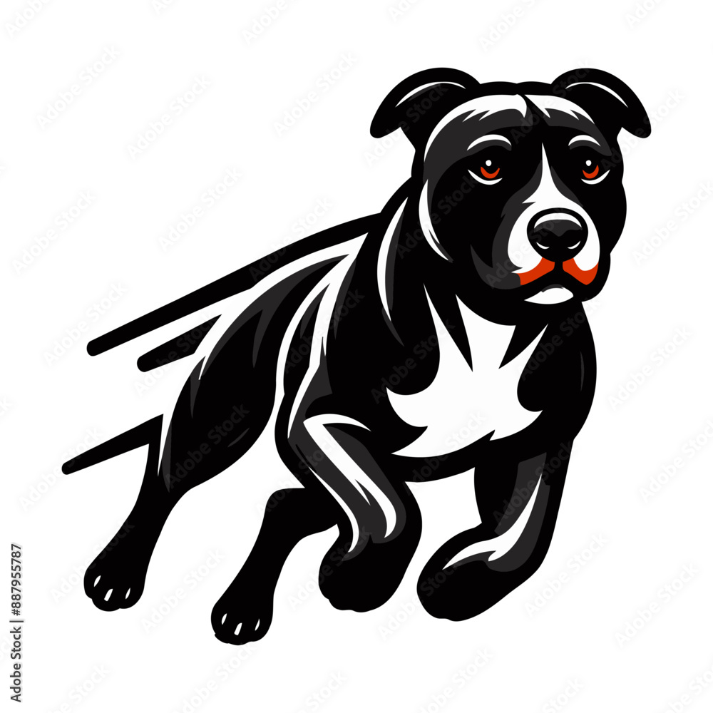Vector pitbull illustration.