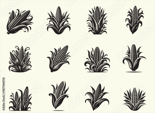 Corn Silhouette Vector Illustration