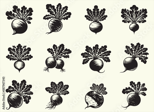 Radish Silhouette Vector Illustration