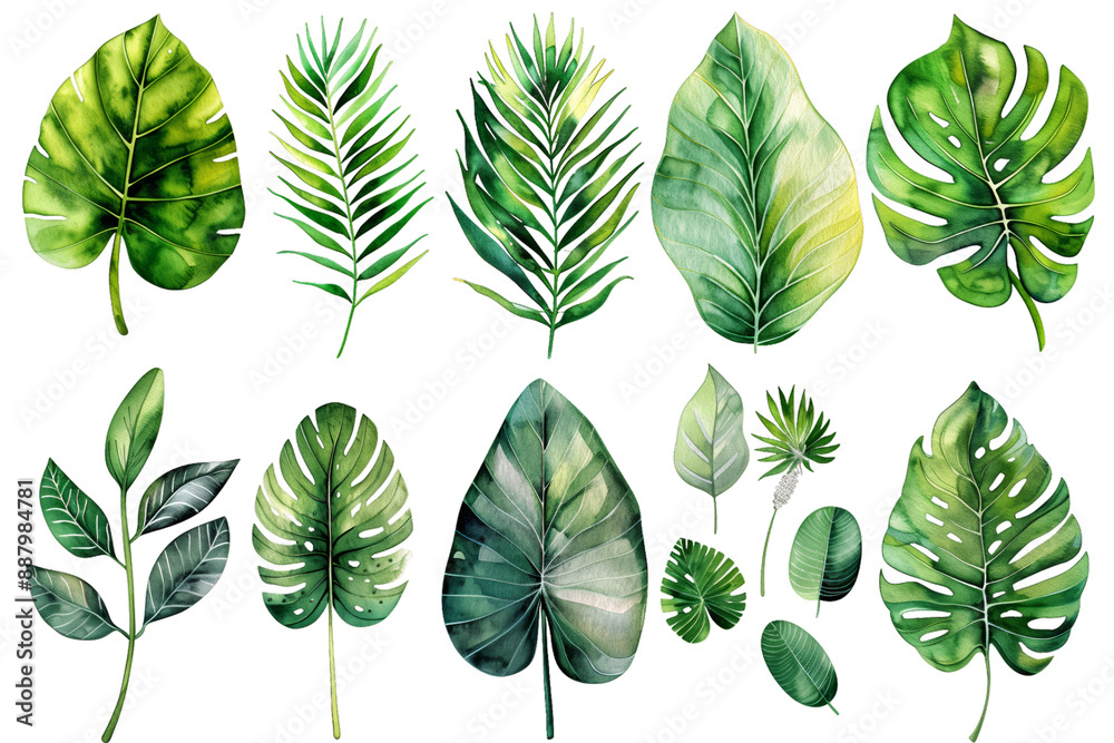 Fototapeta premium Watercolor Illustration of Tropical Leaves