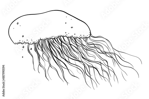 jellyfish on white background made by midjourney photo