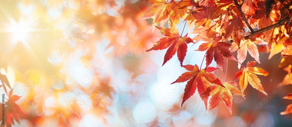 Autumn leaves creating a picturesque copy space image Autumn leaves creating a picturesque copy space image