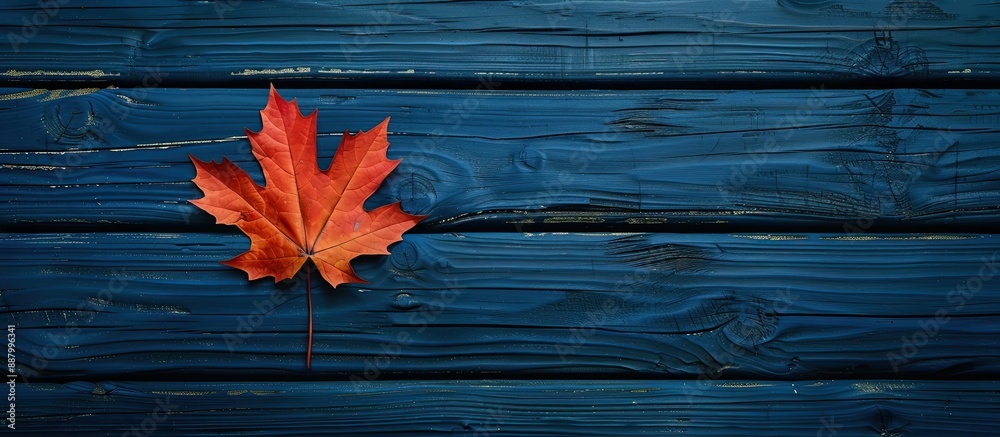 Obraz premium Autumn leaf displayed on a dark blue wooden backdrop embodying the fall season with copy space image