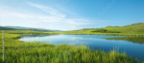 Fototapeta Naklejka Na Ścianę i Meble -  Scenic view of a grassy meadow beside a lake showcasing a clear horizon in the background perfect for a copy space image