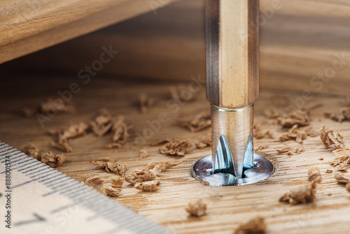 screwdriver screw in a wood oaks plank