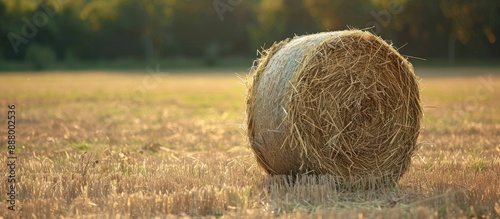 A high quality hay bale on a rural farm ideal animal fodder in grazing shortage empty area around suitable for copy space image