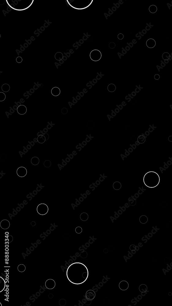 Looping Minimalist White Circle Animation on Black Background
Looping Minimalist White Circle Animation on Black Background