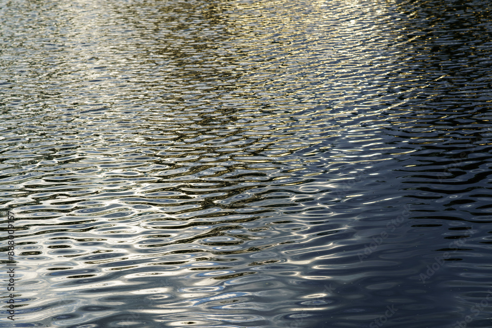 The texture of ripples on the water in a pond illuminated by the setting sun. Natural background. The texture of ripples on the water in a pond illuminated by the setting sun. Natural background.