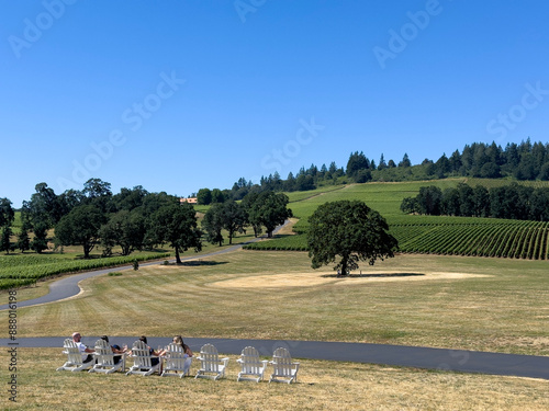 vineyard view in Willamette River Valley Oregon
