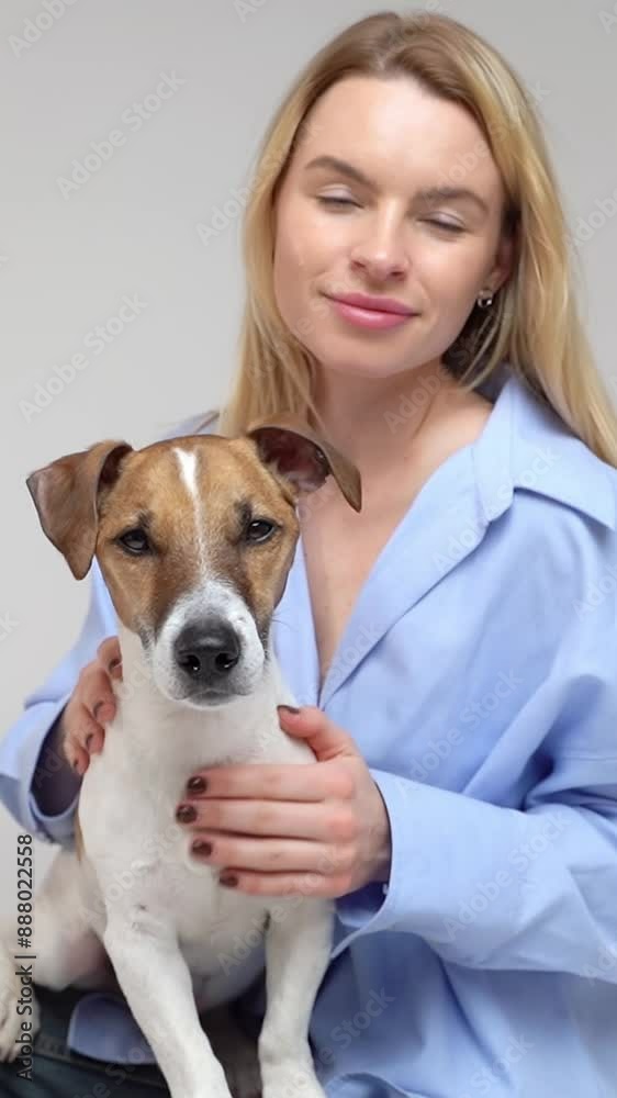 Dog and woman portrait. Blonde beautiful blonde Caucasian girl in blue shirt sitting on floor in the studio with her cute small pet Jack Russell terrier smiling and looking at camera. Vertical video Dog and woman portrait. Blonde beautiful blonde Caucasian girl in blue shirt sitting on floor in the studio with her cute small pet Jack Russell terrier smiling and looking at camera. Vertical video