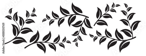 Set of tree branches, eucalyptus, leaves, herbs and flowers silhouettes.