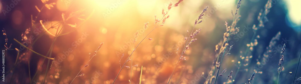 wildgrass at sunrise with blurred background, created with generative AI technology wildgrass at sunrise with blurred background, created with generative AI technology