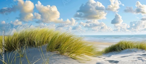 Fototapeta Naklejka Na Ścianę i Meble -  Utah beach dune with beachgrass overlooking the ocean set against a light blue sky with clouds ideal for a copy space image