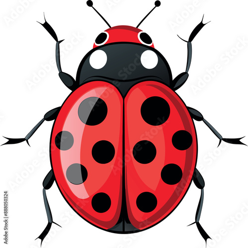 Ladybug  silhouette on a white background