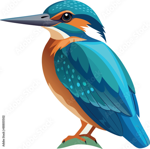 Kingfisher Silhouette Vector illustration