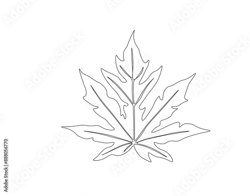 Continuous one line drawing of papaya leaf. Single line drawing illustration of tropical papaya leaf plant. Tropical leaves concept line art. Editable outline