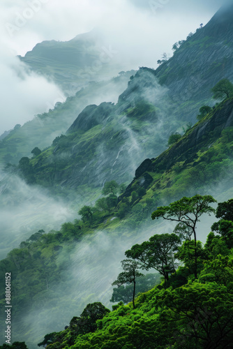 An enchanting scene of mist-covered mountains in the morning, portraying the captivating beauty of nature essence of tourism and travel, evoking feelings of freshness and relaxation