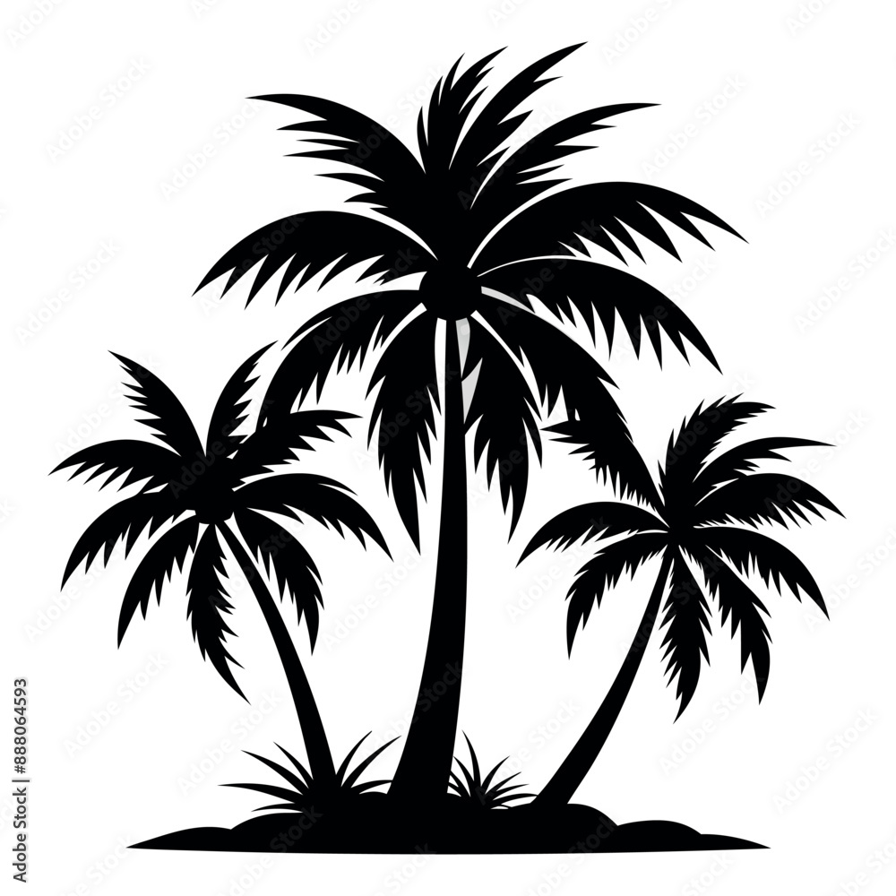 Fototapeta premium Palm tree silhouette, Vector palm tree