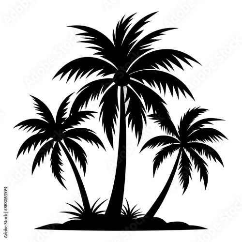 Palm tree silhouette, Vector palm tree