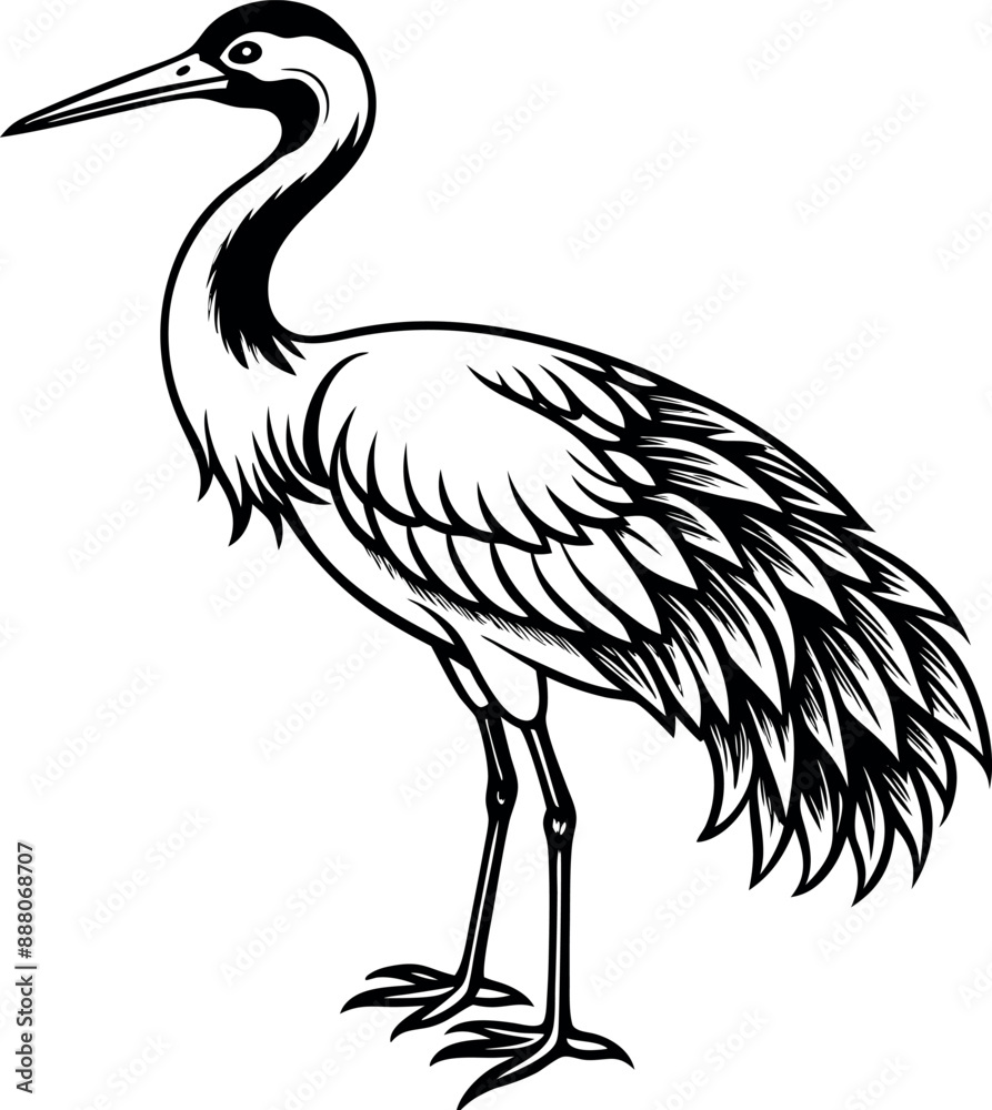 Obraz premium Crane Silhouettes