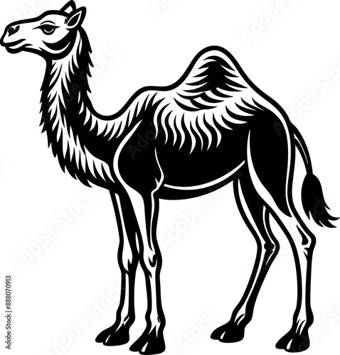 Camel silhouette 