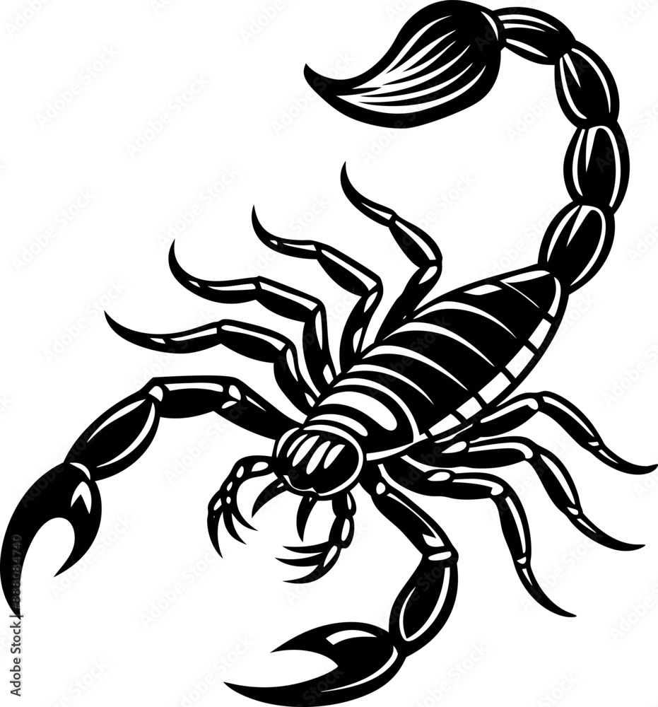 Scorpion Silhouette on white background Scorpion Silhouette on white background