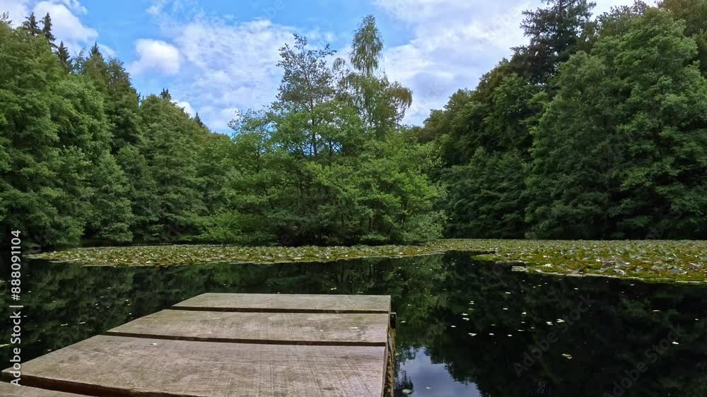 schmaler Holzsteg an einem idyllischen Waldsee mit Bäumen am Ufer und blauem leicht bewölktem Himmel - Romantik, Ruhe, See, Angeln, Ausblick
schmaler Holzsteg an einem idyllischen Waldsee mit Bäumen am Ufer und blauem leicht bewölktem Himmel - Romantik, Ruhe, See, Angeln, Ausblick
